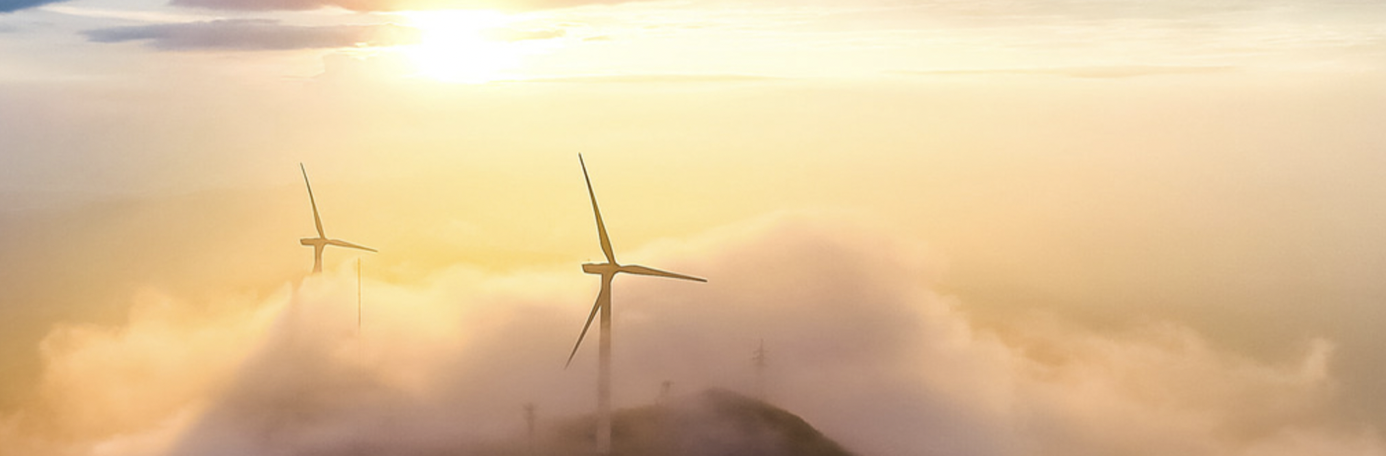 �ڲ�tengbo9885�������������й��ܽ�����˾��������Ա������С�ǡ���������ҵ������+����������